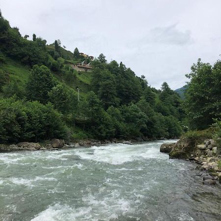 Afara Bungalows Otel & Cafe Rize Eksteriør billede
