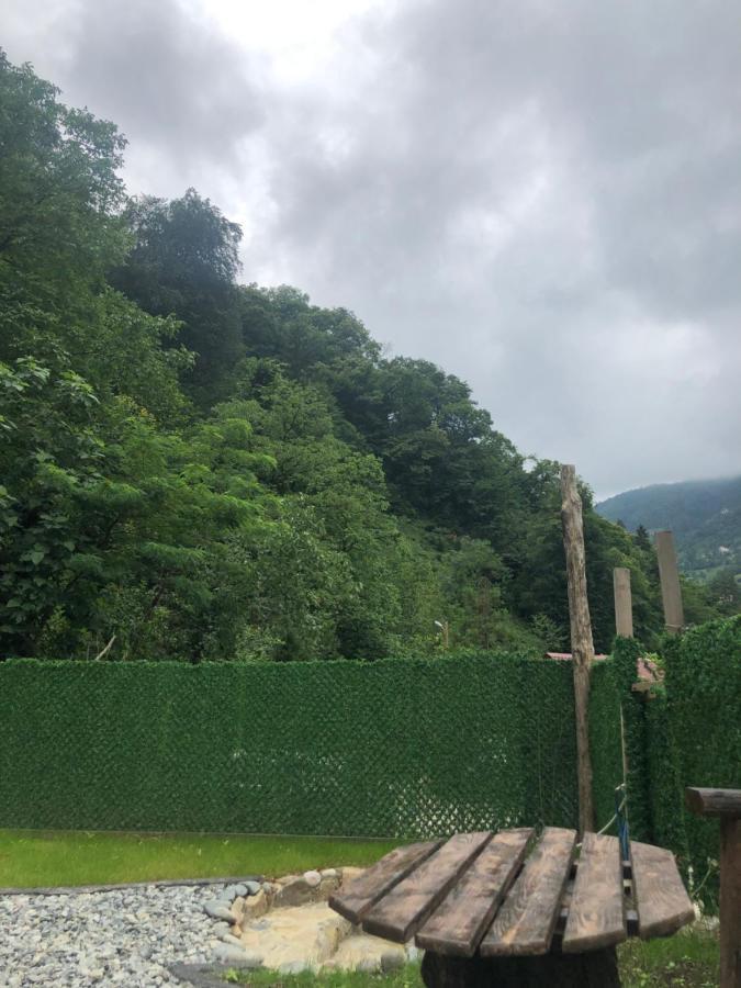 Afara Bungalows Otel & Cafe Rize Eksteriør billede