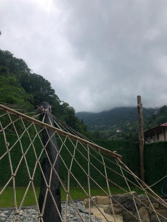 Afara Bungalows Otel & Cafe Rize Eksteriør billede