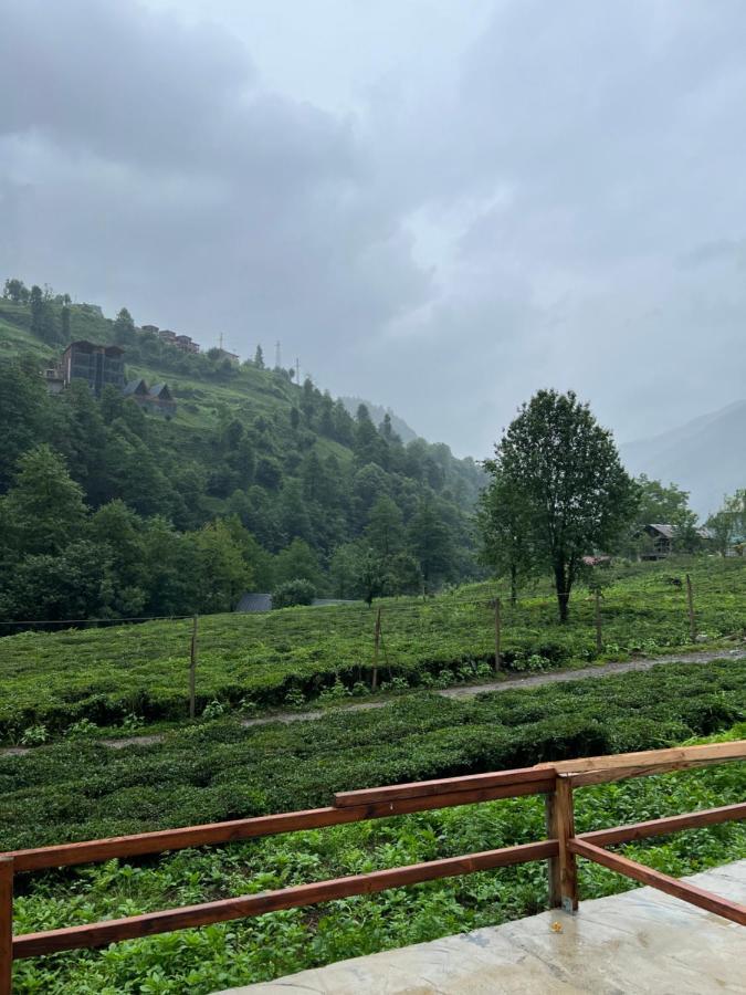 Afara Bungalows Otel & Cafe Rize Eksteriør billede